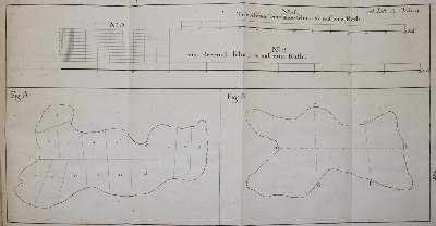 Bild Nr.2: 143-996 Trier.: (Land- und Forstwirtschaft, Forstwirtschaft)