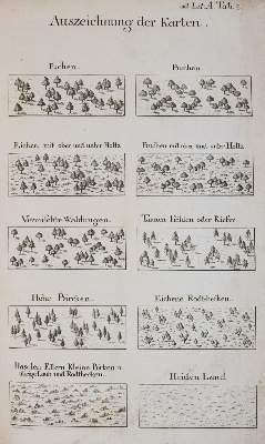 Bild Nr.3: 143-996 Trier.: (Land- und Forstwirtschaft, Forstwirtschaft)
