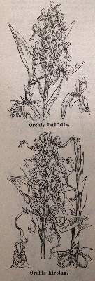 Bild Nr.3: 143-998 Sammlung: (Land- und Forstwirtschaft, Garten)