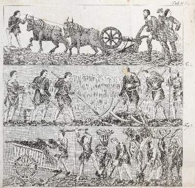 Bild Nr.2: 143-999 Anton,K.G.: (Land- und Forstwirtschaft, Landwirtschaft)