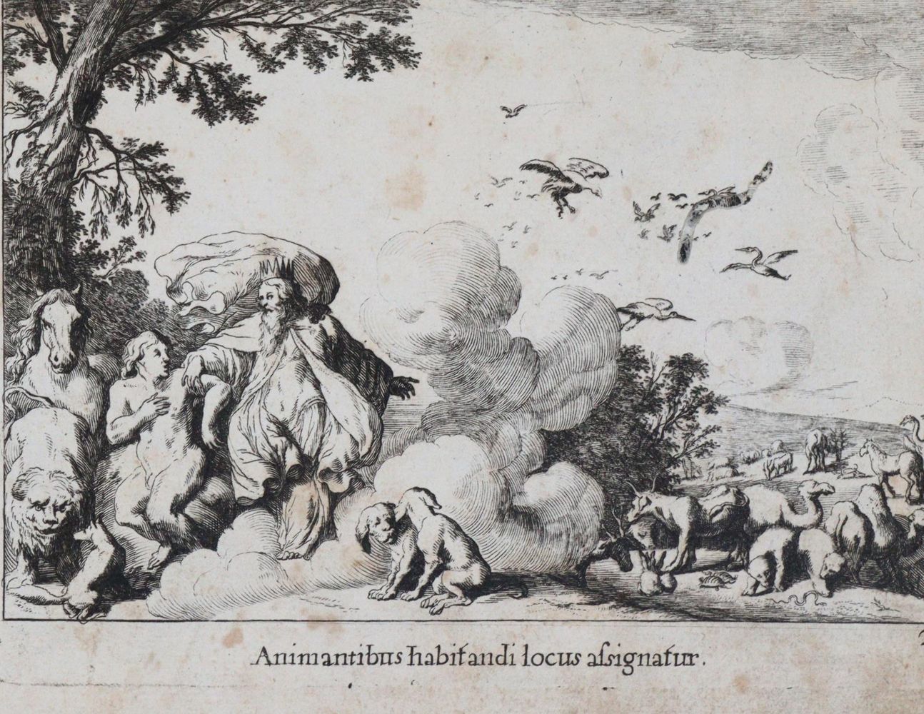 Große Abbildung Nr.3: 144-1050 Ovidius,N.P.: (Literatur und illustrierte Bücher bis 19.Jahrhundert)