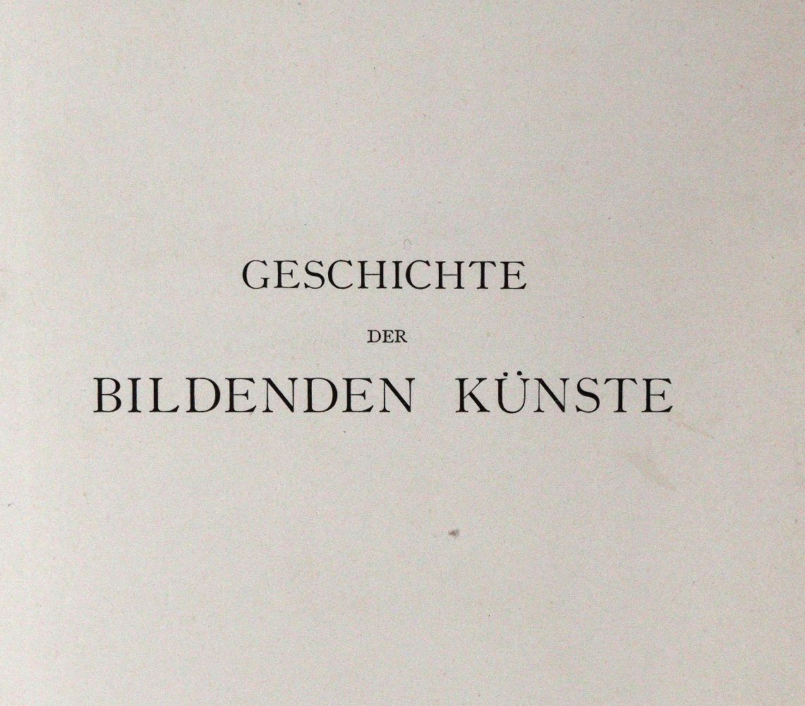 Große Abbildung Nr.10: 144-1137 Hellbrauner Ganzleder: (Einband)