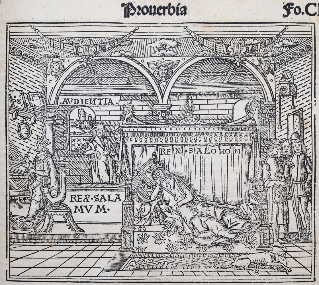Große Abbildung Nr.2: 144-12 Biblia latina.: (Bibeln)