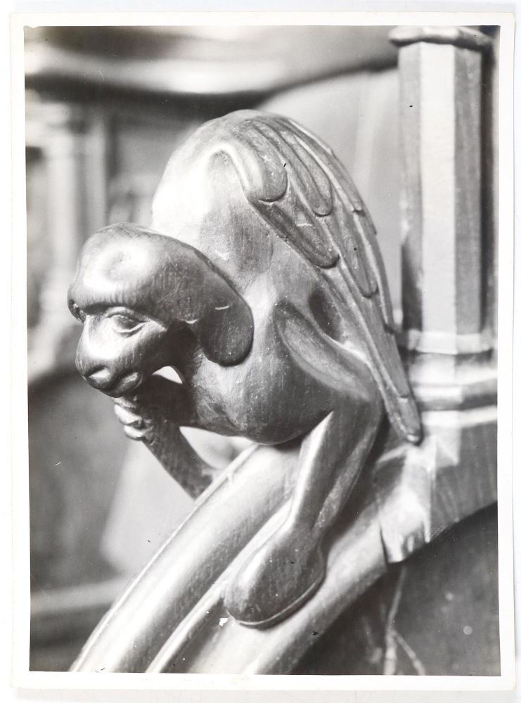 Große Abbildung Nr.9: 144-1247 Konvolut: (Photographie, Renger-Patzsch)