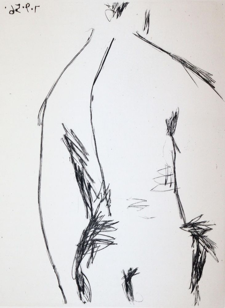 Große Abbildung Nr.4: 144-1248 Jacob,M.: (Picasso)