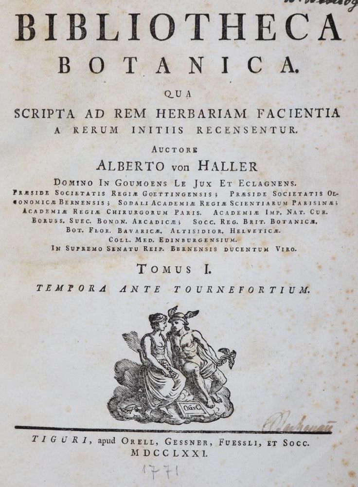 Große Abbildung Nr.1: 144-1312 Haller,A.v.: (Botanik)