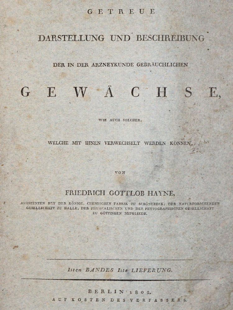 Große Abbildung Nr.1: 144-1313 Hayne,F.G.: (Botanik)