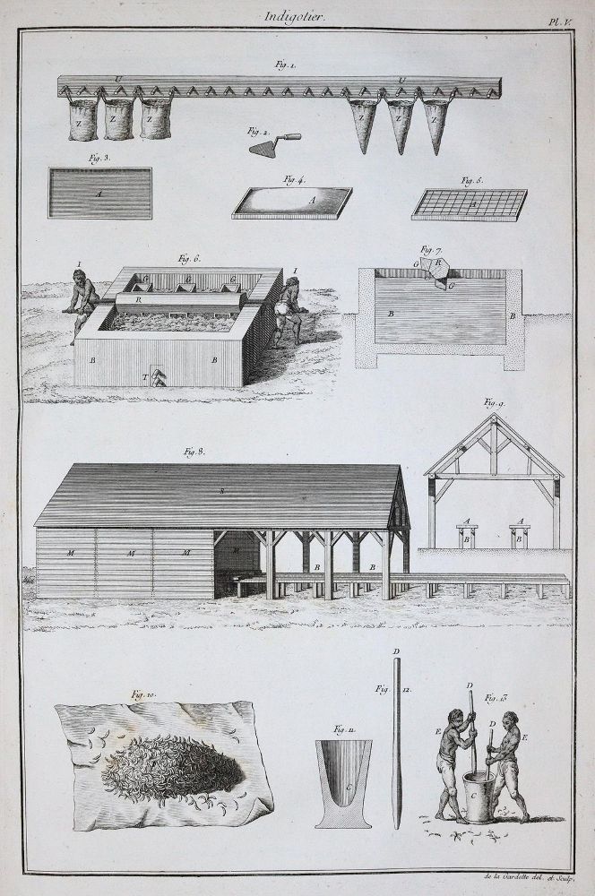 Große Abbildung Nr.3: 144-1315 Beauvais-Raseau,P.de.: (Botanik, Indigo)