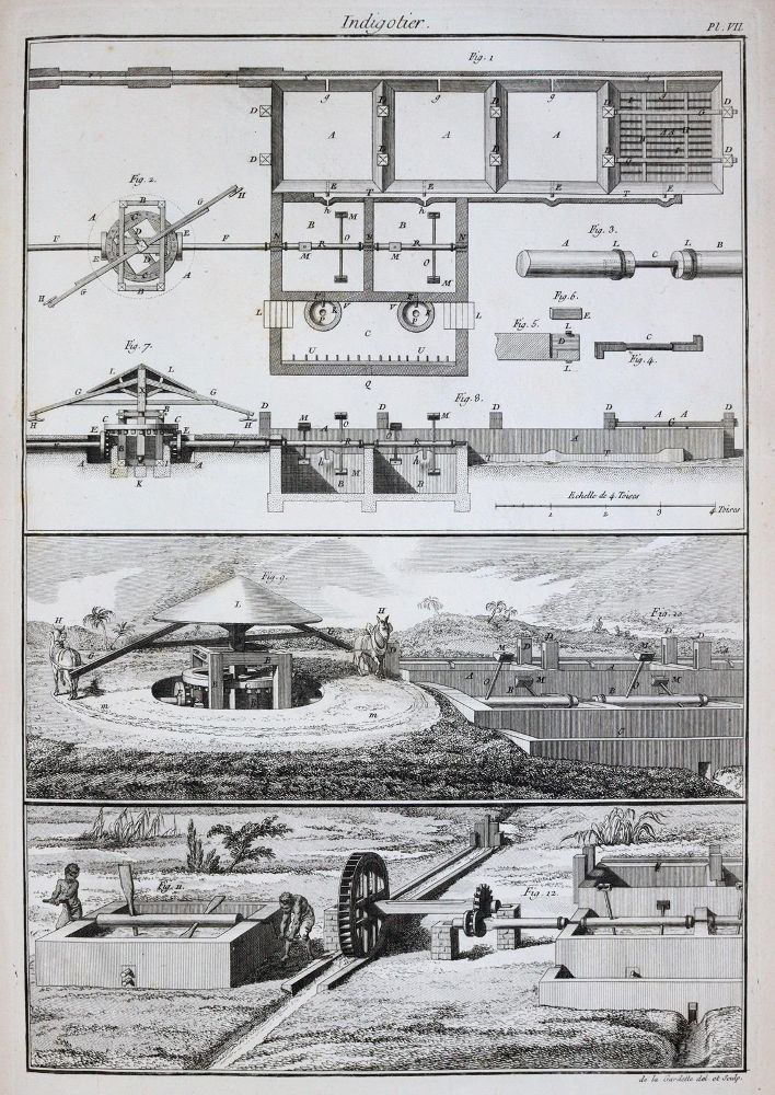 Große Abbildung Nr.4: 144-1315 Beauvais-Raseau,P.de.: (Botanik, Indigo)