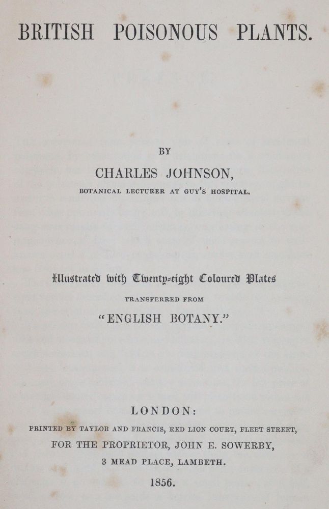 Große Abbildung Nr.5: 144-1316 Johnson,C.: (Botanik)