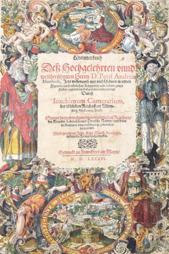 Große Abbildung Nr.1: 144-1317 Matthioli,P.A.: (Botanik, Kräuterbücher)