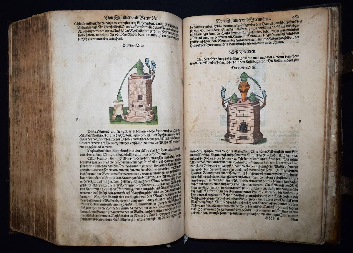 Große Abbildung Nr.35: 144-1317 Matthioli,P.A.: (Botanik, Kräuterbücher)