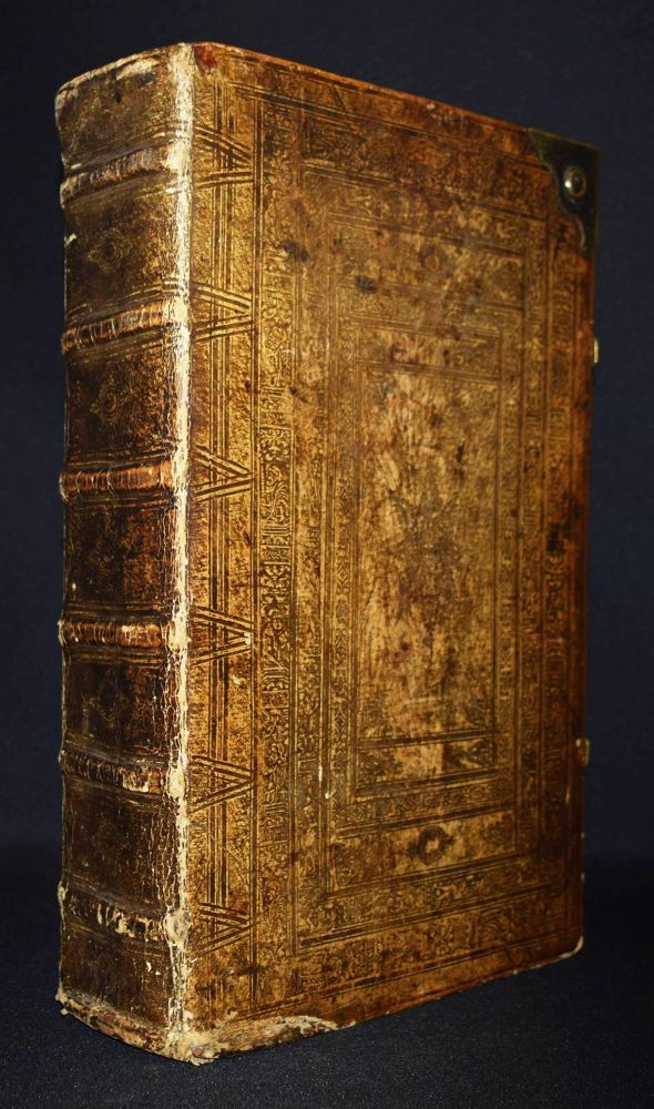 Große Abbildung Nr.38: 144-1317 Matthioli,P.A.: (Botanik, Kräuterbücher)