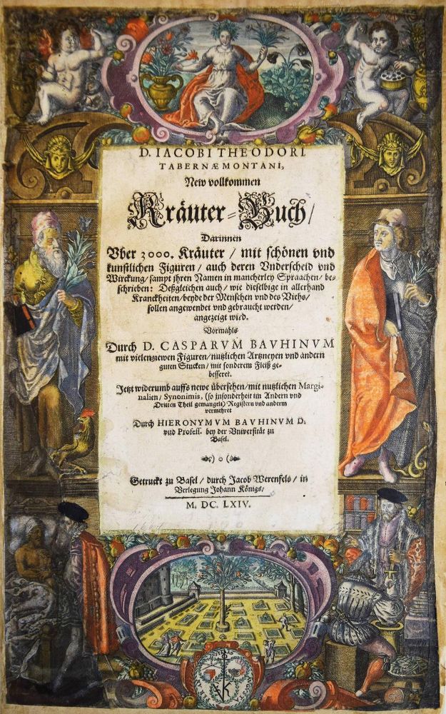 Große Abbildung Nr.116: 144-1318 Tabernaemontanus,J.T.: (Botanik, Kräuterbücher)