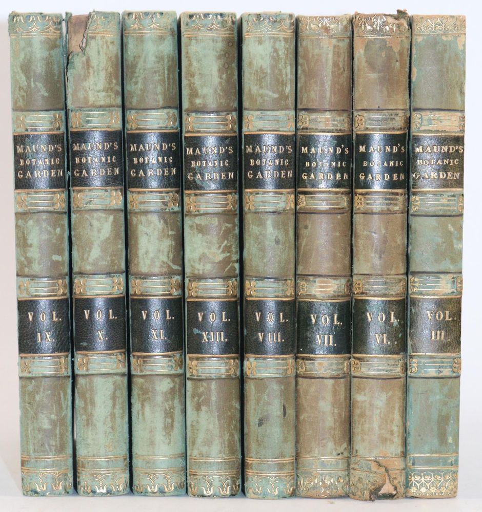 Große Abbildung Nr.12: 144-1323 Maund,B.: (Botanik)