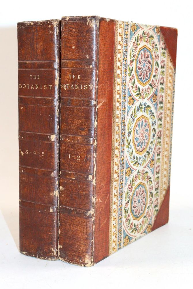 Große Abbildung Nr.8: 144-1324 Maund,B.: (Botanik)