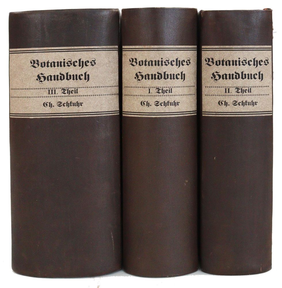Große Abbildung Nr.8: 144-1327 Schkuhr,C.: (Botanik)