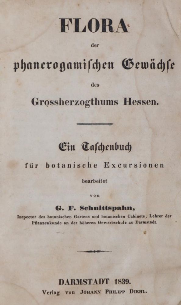 Große Abbildung Nr.1: 144-1328 Schnittspahn,G.F.: (Botanik)