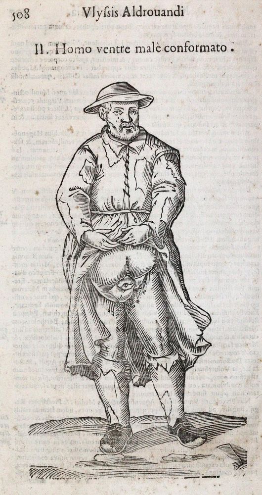 Große Abbildung Nr.3: 144-1335 Aldrovandi,U.: (Medizin)