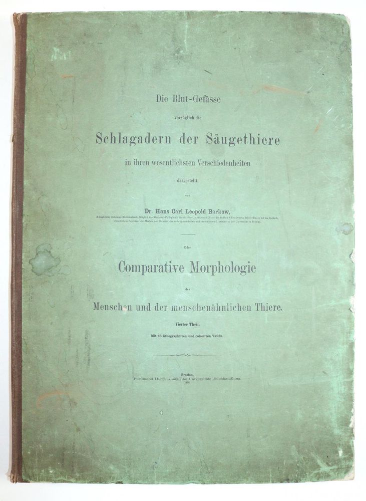 Große Abbildung Nr.6: 144-1341 Barkow,H.C.L.: (Medizin)