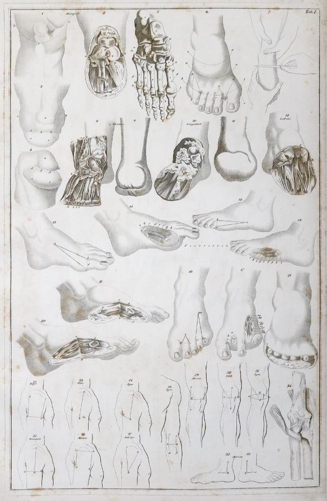 Große Abbildung Nr.6: 144-1347 Blasius,E.: (Medizin)