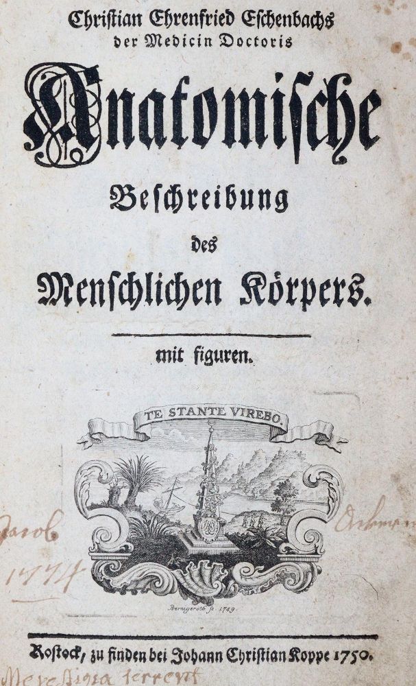 Große Abbildung Nr.1: 144-1363 Eschenbach,C.E.: (Medizin)