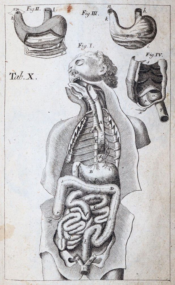 Große Abbildung Nr.3: 144-1363 Eschenbach,C.E.: (Medizin)