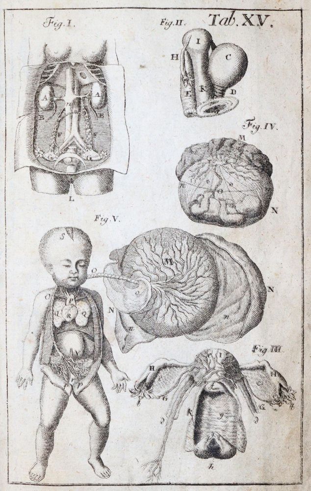 Große Abbildung Nr.4: 144-1363 Eschenbach,C.E.: (Medizin)