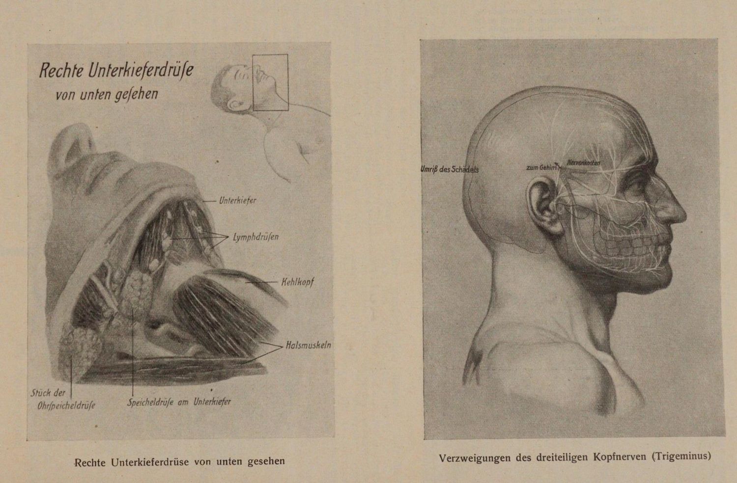 Große Abbildung Nr.2: 144-1392 Leipziger Populäre Zeitschrift: (Medizin, Homöopathie)