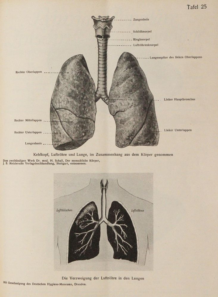 Große Abbildung Nr.4: 144-1392 Leipziger Populäre Zeitschrift: (Medizin, Homöopathie)