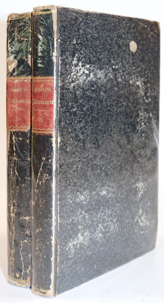 Große Abbildung Nr.2: 144-1397 Hyrtl,J.: (Medizin)