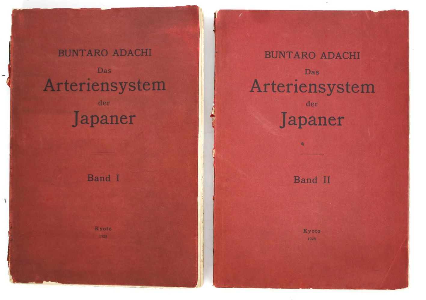 Große Abbildung Nr.12: 144-1398 Adachi,B.: (Medizin, Japan)