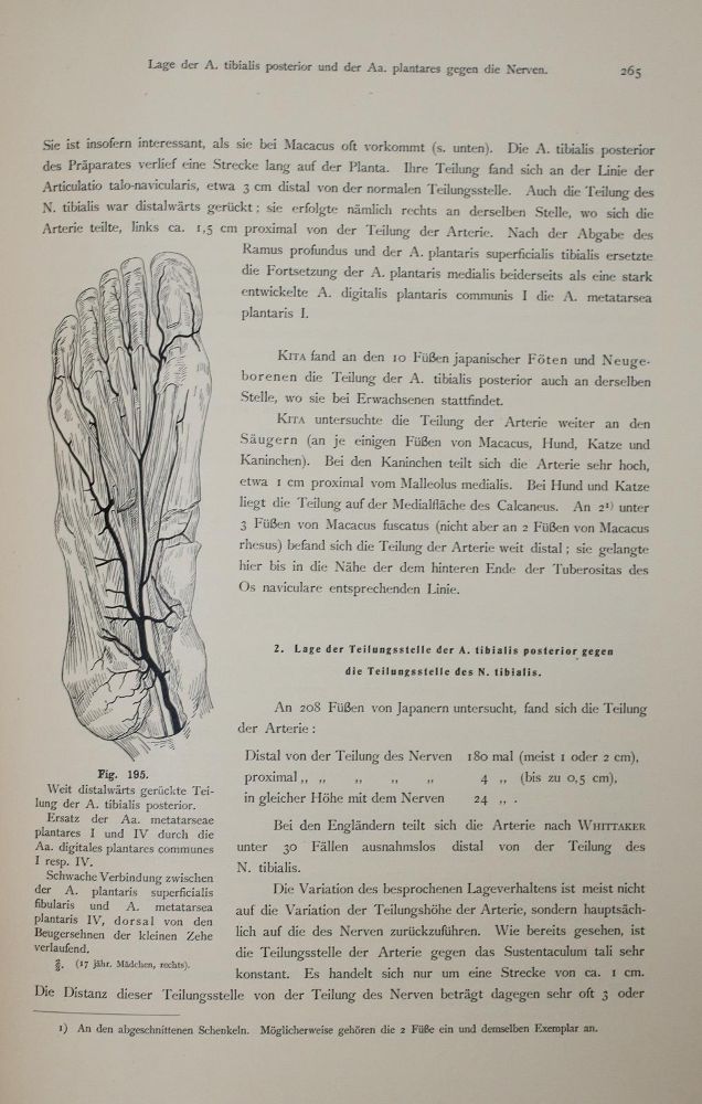 Große Abbildung Nr.2: 144-1398 Adachi,B.: (Medizin, Japan)