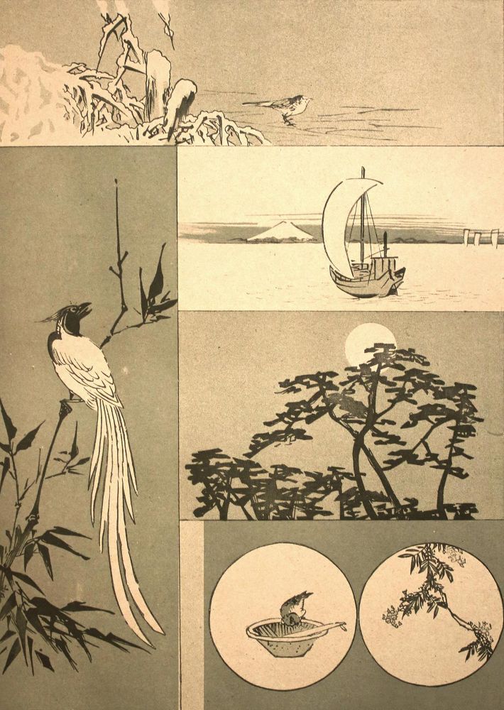 Große Abbildung Nr.8: 144-1398 Adachi,B.: (Medizin, Japan)