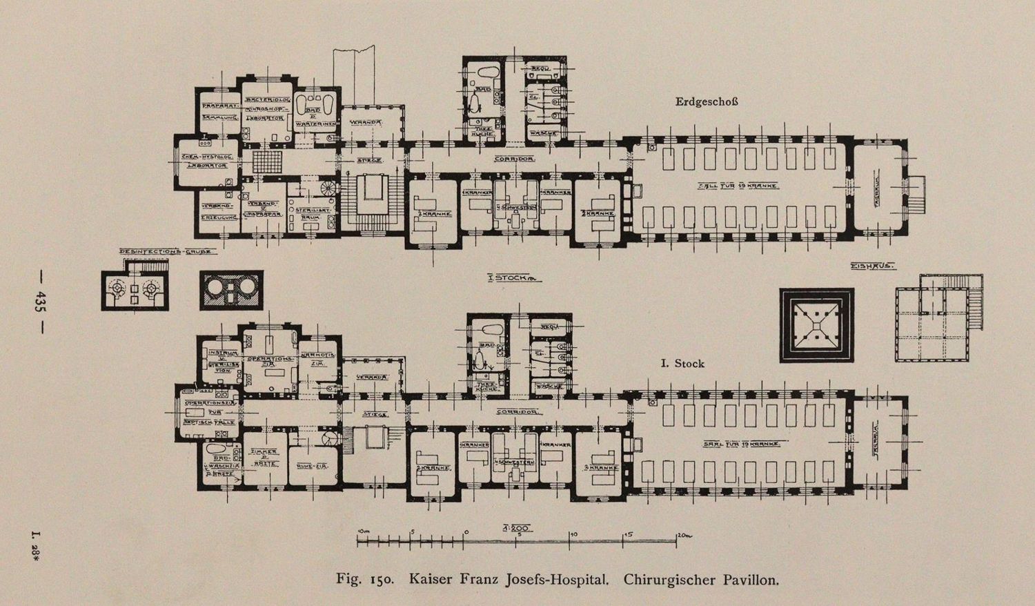 Große Abbildung Nr.4: 144-1402 Löffler,B. (Illustr.).: (Medizin)
