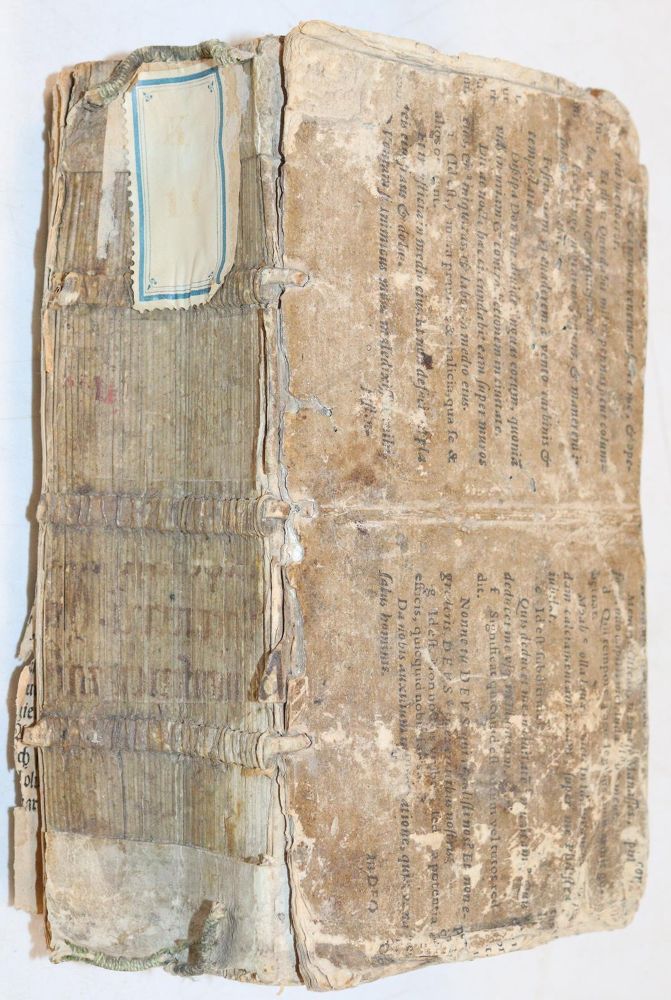 Große Abbildung Nr.1: 144-1407 Nasser,A.: (Medizin)