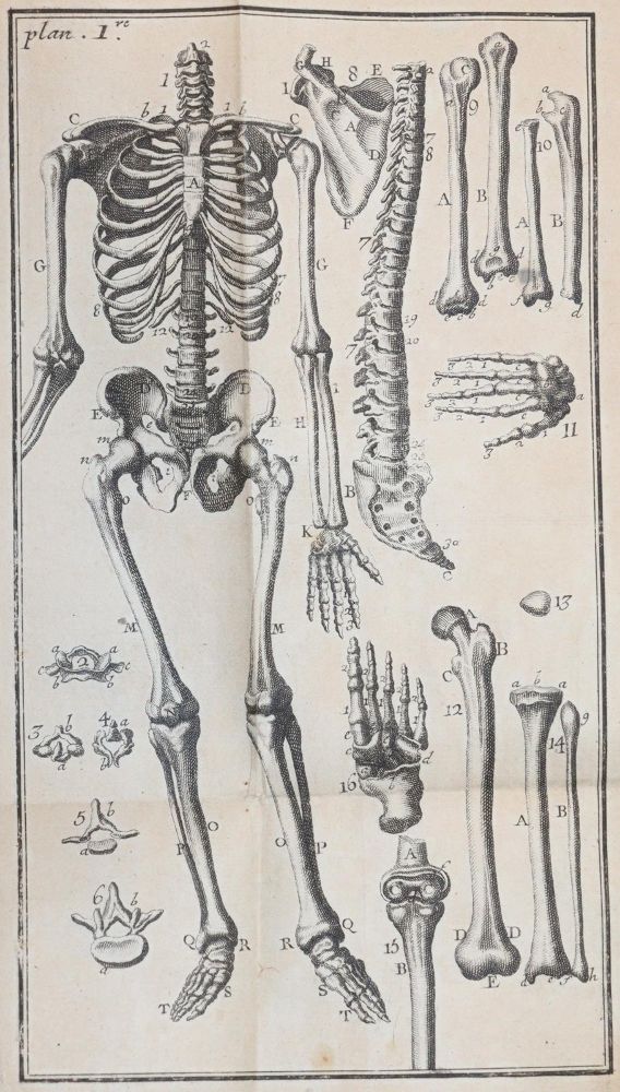 Große Abbildung Nr.2: 144-1409 Noguez,(P.N.).: (Medizin)