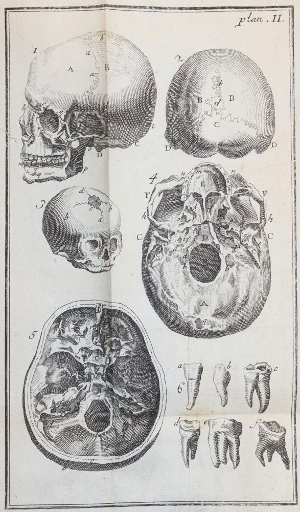 Große Abbildung Nr.3: 144-1409 Noguez,(P.N.).: (Medizin)