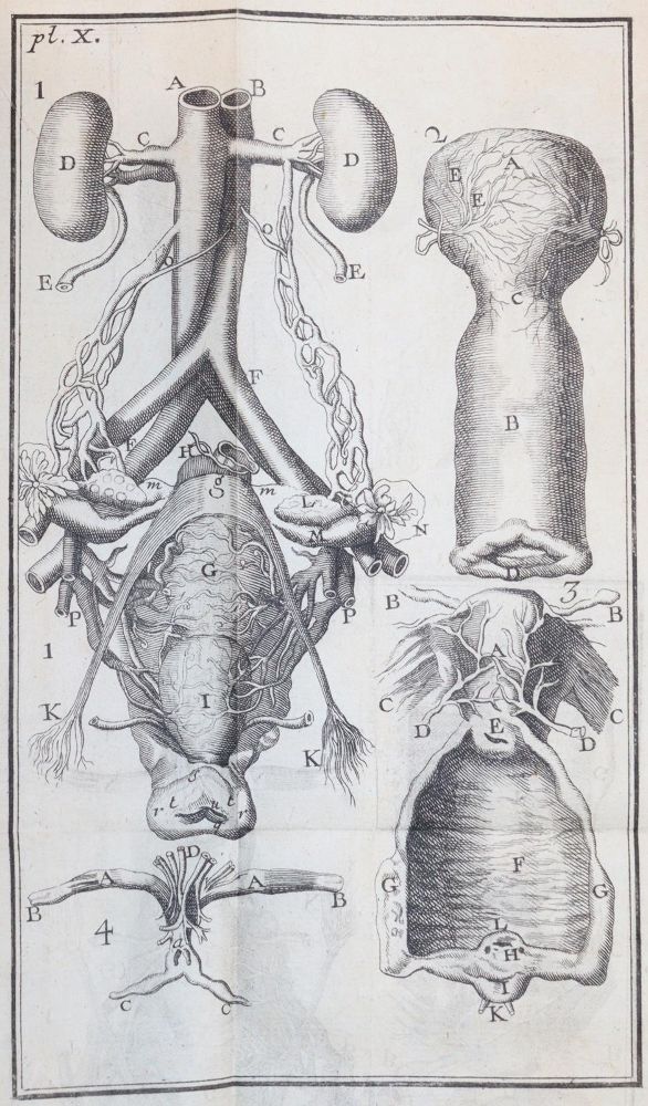 Große Abbildung Nr.4: 144-1409 Noguez,(P.N.).: (Medizin)