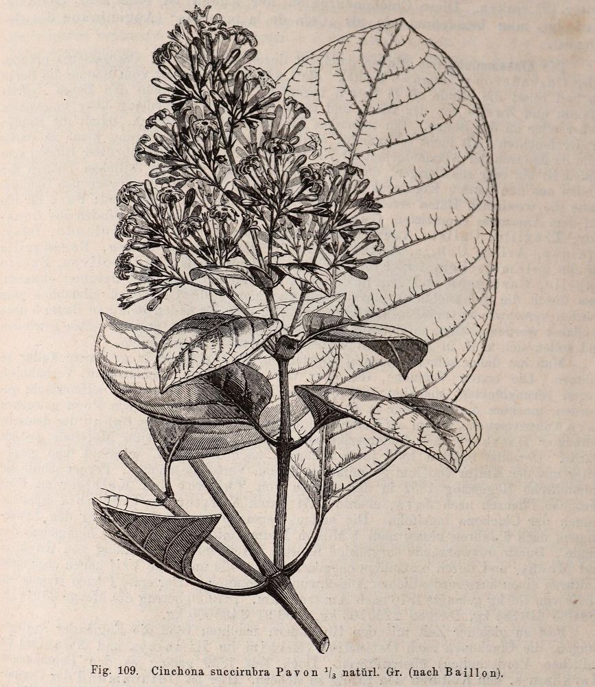 Große Abbildung Nr.3: 144-1414 Hager,H. u.a. (Hrsg.).: (Medizin, Pharmazie)