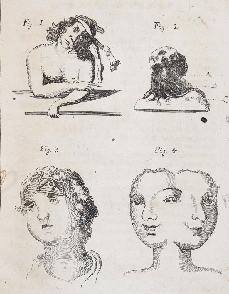 Große Abbildung Nr.3: 144-1437 Valentini,M.B.: (Medizin)