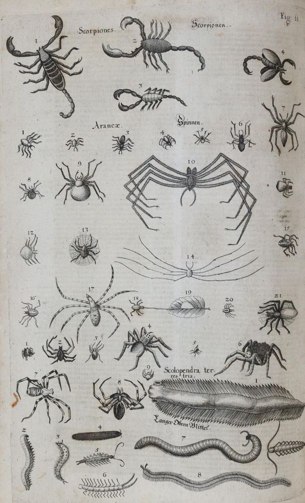 Große Abbildung Nr.10: 144-1445 Aldrovandi,U.: (Zoologie)