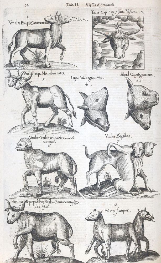 Große Abbildung Nr.2: 144-1445 Aldrovandi,U.: (Zoologie)