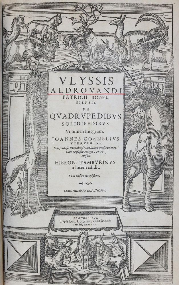 Große Abbildung Nr.6: 144-1445 Aldrovandi,U.: (Zoologie)