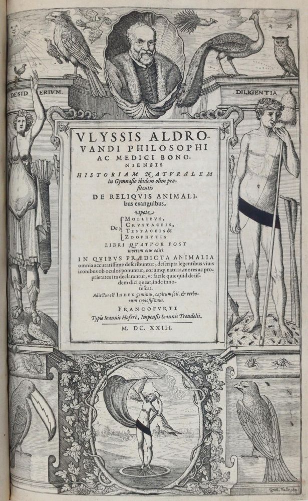 Große Abbildung Nr.7: 144-1445 Aldrovandi,U.: (Zoologie)