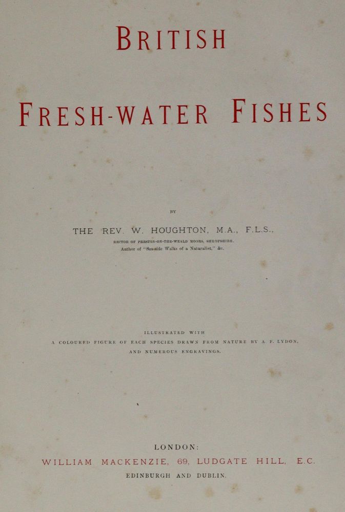 Große Abbildung Nr.3: 144-1450 Houghton,W.: (Zoologie, Fische)