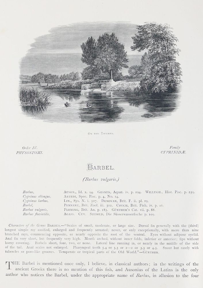 Große Abbildung Nr.5: 144-1451 Houghton,W.: (Zoologie, Fische)