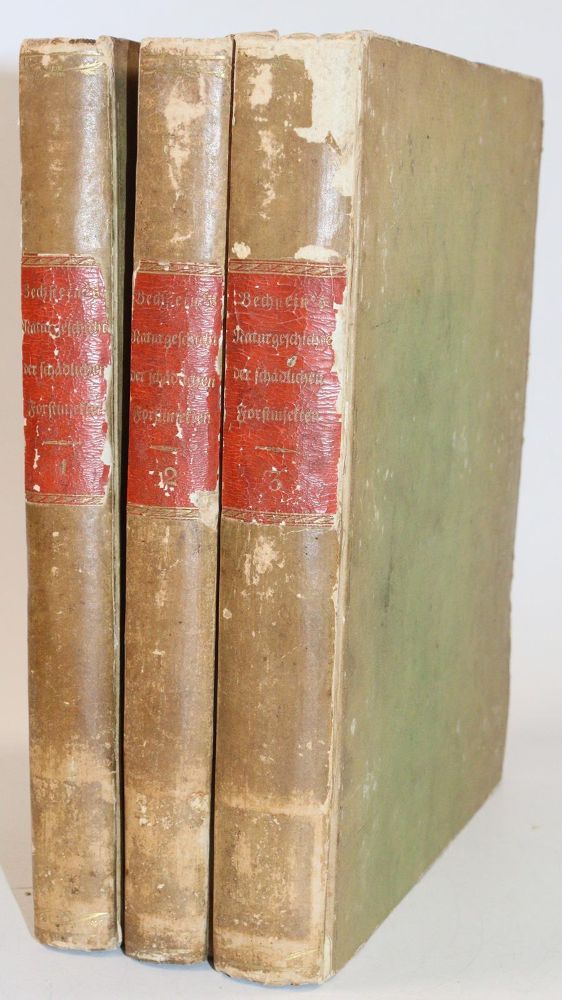 Große Abbildung Nr.2: 144-1453 Bechstein,J.M. u. G.L.Scharfenberg.: (Zoologie, Insekten)