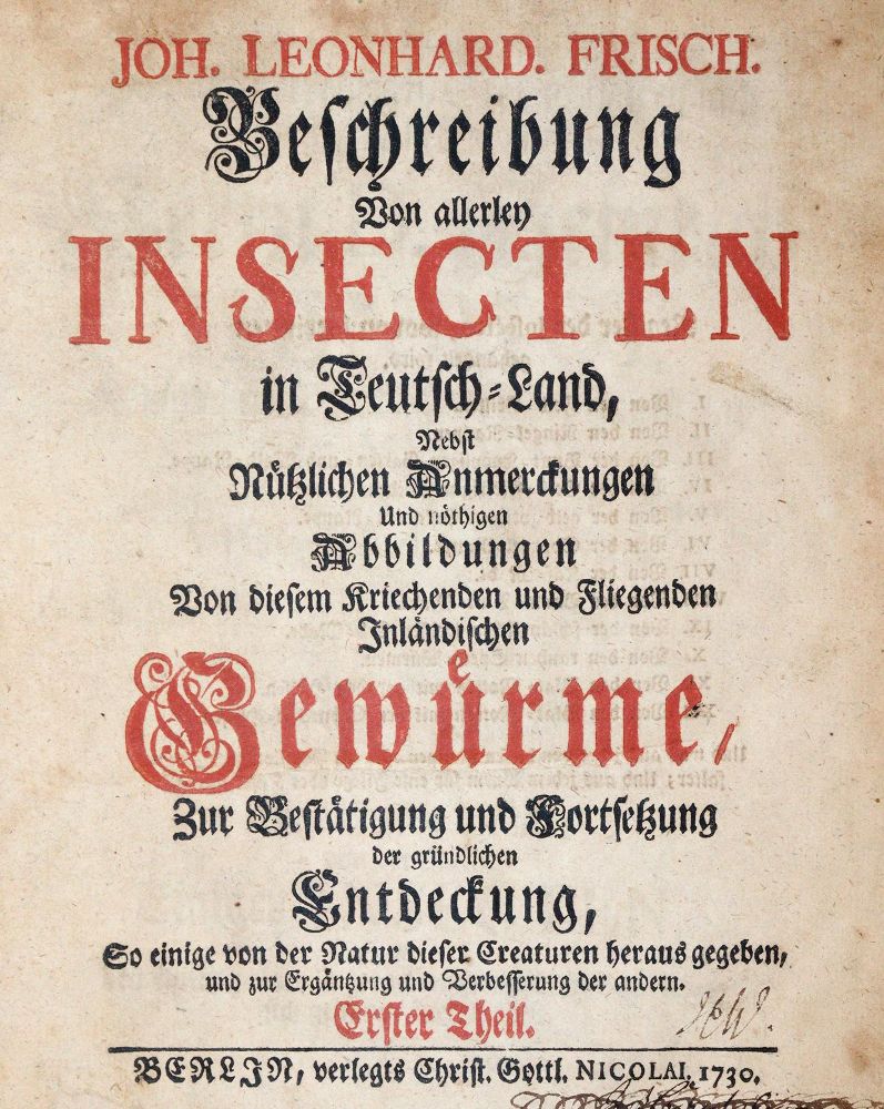 Große Abbildung Nr.1: 144-1454 Frisch,J.L.: (Zoologie, Insekten)