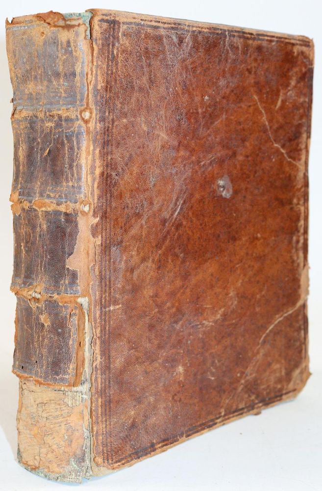 Große Abbildung Nr.5: 144-1454 Frisch,J.L.: (Zoologie, Insekten)